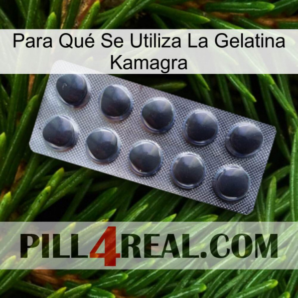 Para Qué Se Utiliza La Gelatina Kamagra 30.jpg